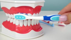 آموزش مسواک زدن روی مدل دندان با استفاده از ماکت | ایران کارن